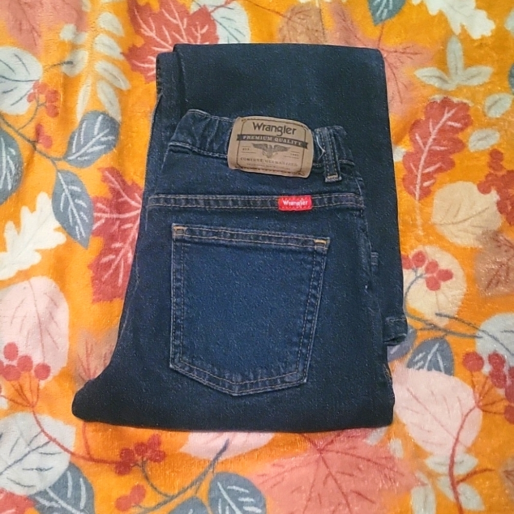 Wranglers Straight Fit Size 12 Regular